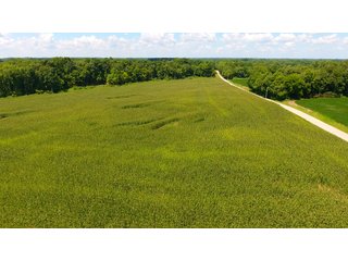 Property photo 46 - LAND AUCTION - 1,193+/- ACRES IN 14 TRACTS IN PIKE & GIBSON COUNTY, INDIANA